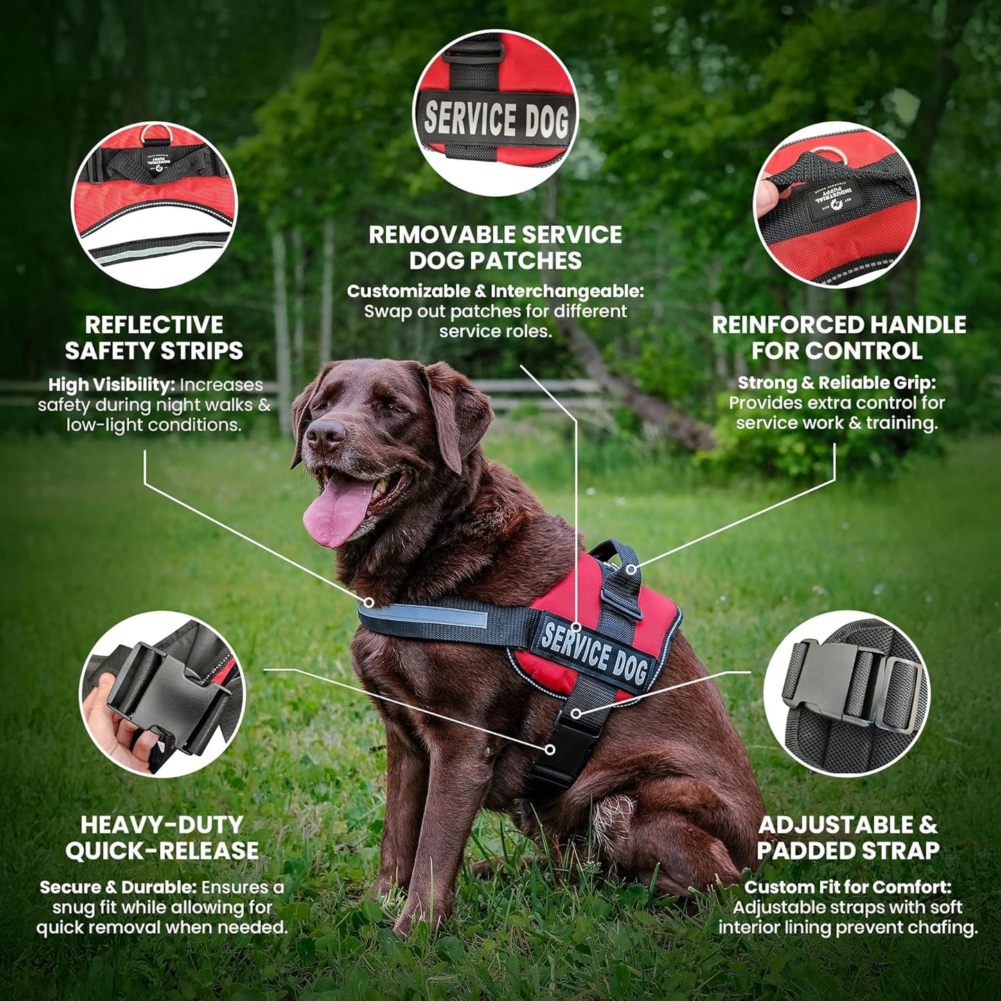 Emotional Support Dog Vest Harness with Reflective Straps, Interchangeable Patches, and Matching ESA Leash Set - ESA Dog Vest in 7 Adjustable Sizes - Heavy Duty Vests for Working or in Training Dogs
